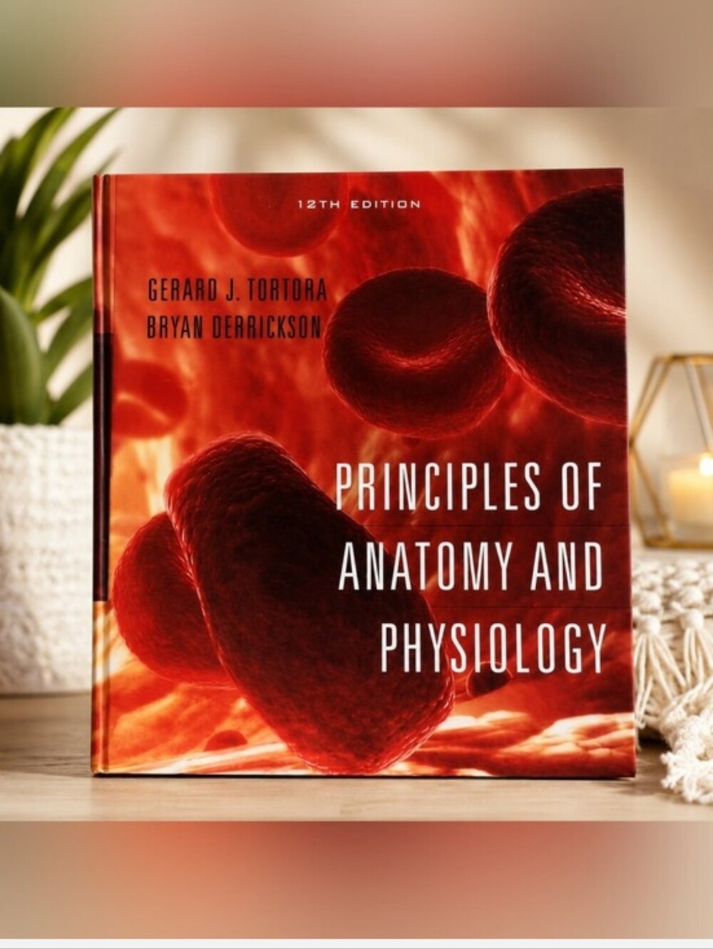 Principles of Anatomy and Physiology - Red Hardcover Textbook - Picture 1 of 5
